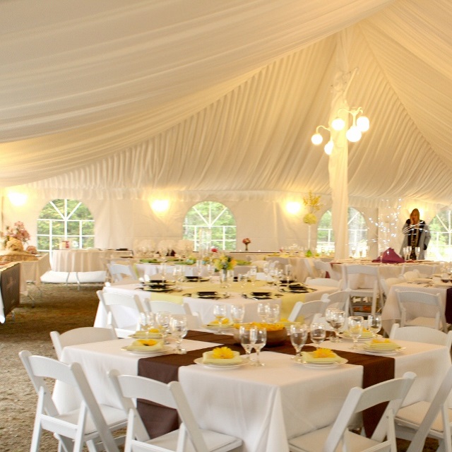 Perimeter String Lights Wedding & Event Lighting Rentals in New